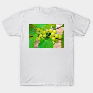 Grapes T-Shirt